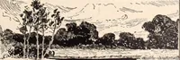 An illustration from American homes and gardens (1905)