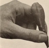 An illustration from American homes and gardens (1905)