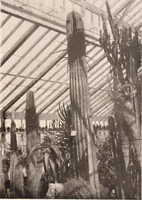 An illustration from American homes and gardens (1905)