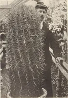 An illustration from American homes and gardens (1905)