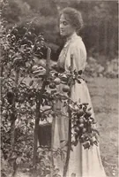 Picture 81 of 926 from American homes and gardens (1905), leaf 42