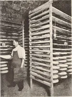 An illustration from American homes and gardens (1905)