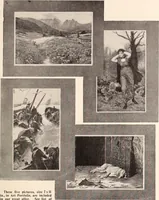 An illustration from American homes and gardens (1905)