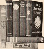 An illustration from American homes and gardens (1905)