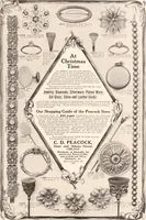 An illustration from American homes and gardens (1905)