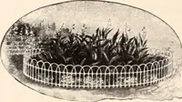 Picture 126 of 926 from American homes and gardens (1905), leaf 65