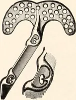 An illustration from American homes and gardens (1905)