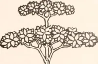 Picture 201 of 926 from American homes and gardens (1905), leaf 92
