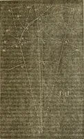 An illustration from American horological journal, devoted to practical horology (1869)
