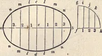 Picture 22 of 181 from The American house-carpenter; a treatise on the art of building, and the strength of materials (1873), leaf 64