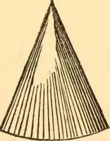 An illustration from The American house carpenter. A treatise on the art of building. Comprising styles of architecture, strength of materials, and the theory and practice of the construction of floors, framed girders, roof trusses, rolled-iron beams, tubular-iron girders, cast-iron girders, stairs, doors, windows, mouldings, and cornices; together with a compend of mathematics. A manual for the practical use of architects, carpenters, stair-builders, and others (1880)