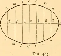 An illustration from The American house carpenter. A treatise on the art of building. Comprising styles of architecture, strength of materials, and the theory and practice of the construction of floors, framed girders, roof trusses, rolled-iron beams, tubular-iron girders, cast-iron girders, stairs, doors, windows, mouldings, and cornices; together with a compend of mathematics. A manual for the practical use of architects, carpenters, stair-builders, and others (1880)