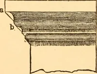 Picture 303 of 325 from The American house carpenter. A treatise on the art of building. Comprising styles of architecture, strength of materials, and the theory and practice of the construction of floors, framed girders, roof trusses, rolled-iron beams, tubular-iron girders, cast-iron girders, stairs, doors, windows, mouldings, and cornices; together with a compend of mathematics. A manual for the practical use of architects, carpenters, stair-builders, and others (1880), leaf 643