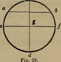 An illustration from The American house-carpenter; a treatise on the art of building, and the strength of materials (1867)