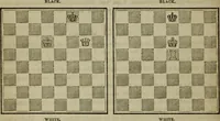 Picture 4 of 40 from The American Hoyle, or, Gentleman's hand-book of games: containing all the games played in the United States, with rules, descriptions, and technicalities, adapted to the American methods of playing (1864), leaf 283
