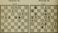 Picture 9 of 40 from The American Hoyle, or, Gentleman's hand-book of games: containing all the games played in the United States, with rules, descriptions, and technicalities, adapted to the American methods of playing (1864), leaf 313