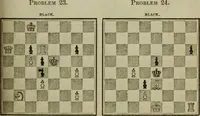Picture 10 of 40 from The American Hoyle, or, Gentleman's hand-book of games: containing all the games played in the United States, with rules, descriptions, and technicalities, adapted to the American methods of playing (1864), leaf 316