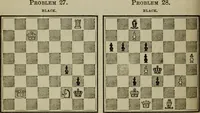 Picture 12 of 40 from The American Hoyle, or, Gentleman's hand-book of games: containing all the games played in the United States, with rules, descriptions, and technicalities, adapted to the American methods of playing (1864), leaf 317