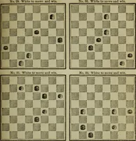 Picture 16 of 40 from The American Hoyle, or, Gentleman's hand-book of games: containing all the games played in the United States, with rules, descriptions, and technicalities, adapted to the American methods of playing (1864), leaf 358