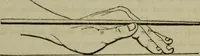An illustration from The American Hoyle, or, Gentleman's hand-book of games: containing all the games played in the United States, with rules, descriptions, and technicalities, adapted to the American methods of playing (1864)