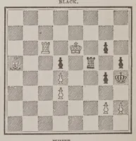 An illustration from The American Hoyle; or, Gentleman's hand-book of games: (1874)