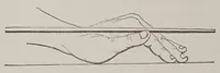 An illustration from The American Hoyle; or, Gentleman's hand-book of games: (1874)