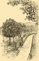 Picture 39 of 93 from American inventions and inventors (1900), leaf 131