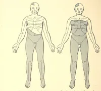 An illustration from The American journal of the medical sciences (1827)