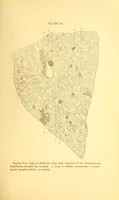 An illustration from The American journal of the medical sciences (1827)