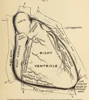 An illustration from The American journal of the medical sciences (1827)
