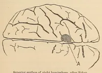 An illustration from The American journal of the medical sciences (1827)