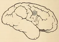 An illustration from The American journal of the medical sciences (1827)