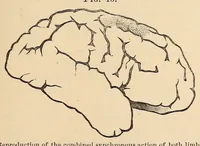 An illustration from The American journal of the medical sciences (1827)