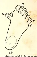 An illustration from The American journal of the medical sciences (1827)