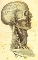 An illustration from The American journal of the medical sciences (1827)