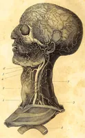 An illustration from The American journal of the medical sciences (1827)