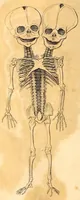 An illustration from The American journal of the medical sciences (1827)
