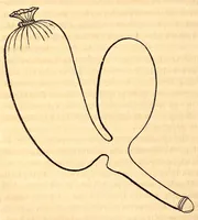 Picture 5 of 6 from The American journal of the medical sciences (1827), leaf 424