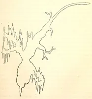 Picture 6 of 13 from The American journal of the medical sciences (1827), leaf 101