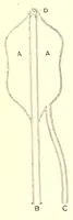 An illustration from The American journal of the medical sciences (1827)