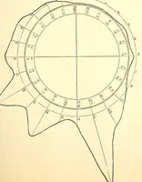 Picture 9 of 13 from The American journal of the medical sciences (1827), leaf 307