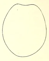 An illustration from The American journal of the medical sciences (1827)