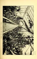 Picture 2 of 18 from American journal of pharmacy (1835), leaf 17