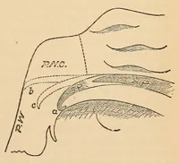 An illustration from The American journal of the medical sciences (1827)