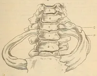 An illustration from The American journal of the medical sciences (1827)