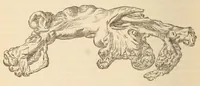 An illustration from The American journal of the medical sciences (1827)