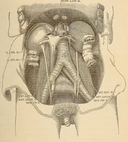 An illustration from The American journal of the medical sciences (1827)