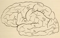 An illustration from The American journal of the medical sciences (1827)