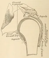 An illustration from The American journal of the medical sciences (1827)