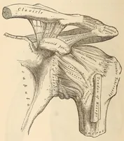 An illustration from The American journal of the medical sciences (1827)